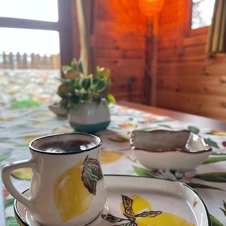 Andizalti Doga Evleri Limon Ev Datca Villa Bagian luar foto