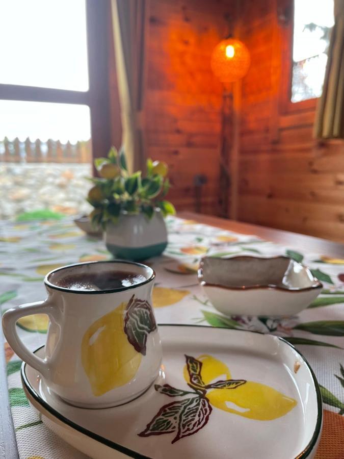 Andizalti Doga Evleri Limon Ev Datca Villa Bagian luar foto